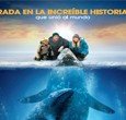 Un periodista y una voluntaria de Greenpeace que intentaran salvar una familia de ballenas grises que se han quedado atrapas en el Circulo Polar Ártico.