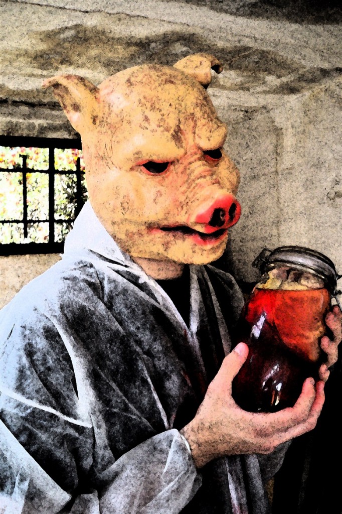 Eat Piggy Eat
